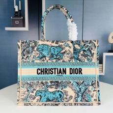 Christian Dior Shopping Bags